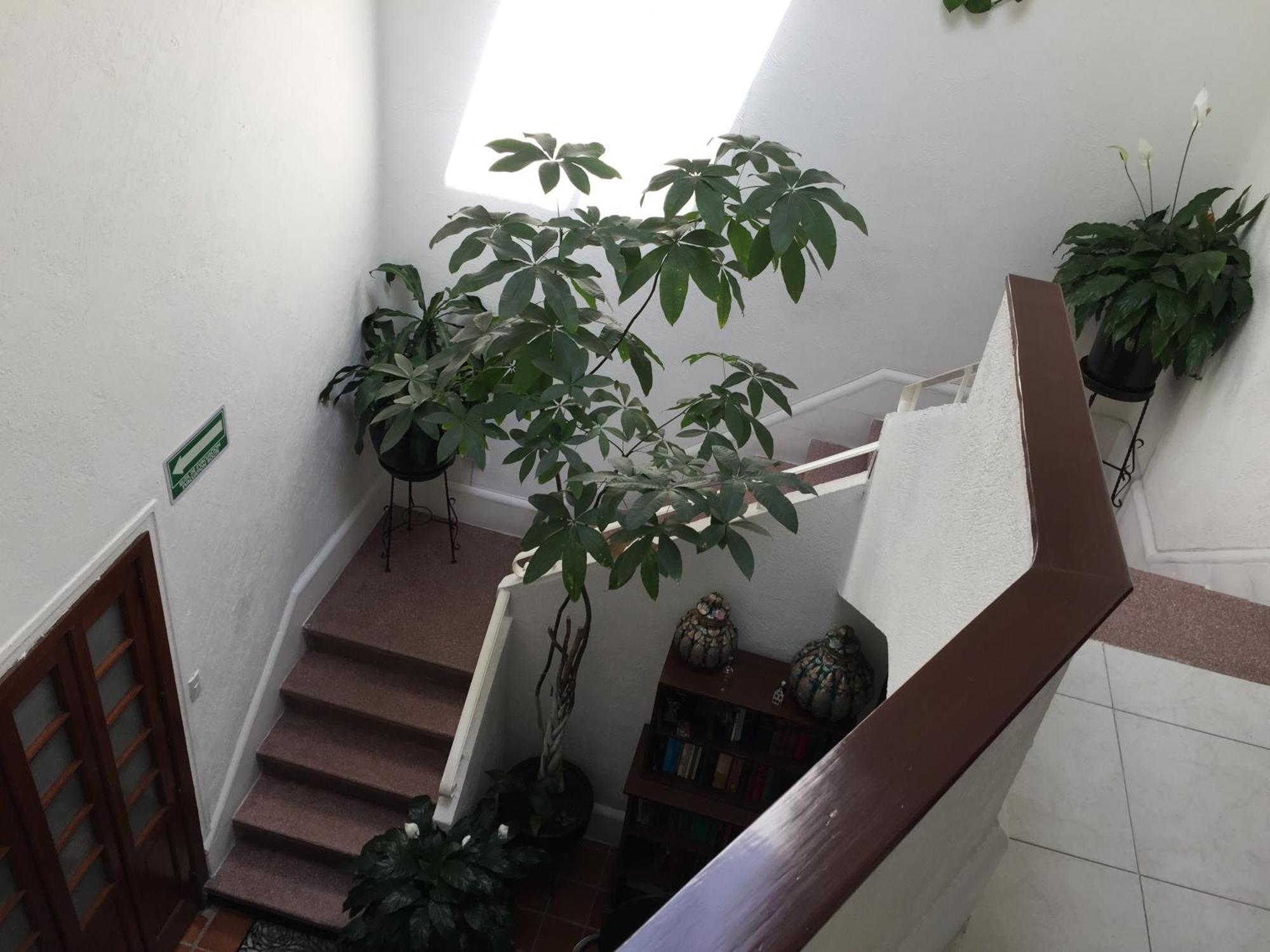 Casa Maria Elena Condesa (Adults Only) Hotel เม็กซิโกซิตี้ ภายนอก รูปภาพ